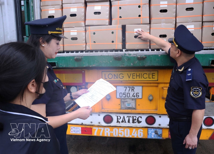 Customs uncover 8,900 violations in six months, online smuggling on the rise
